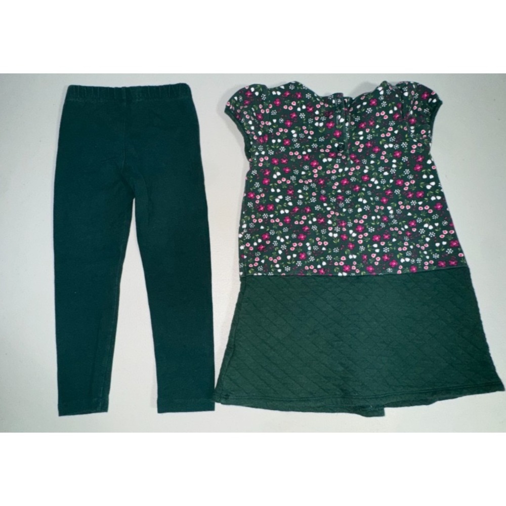 Gymboree Girl 4T/4 Dress & Leggings Set Quilted Plum Pony Floral Causal Everyday - Picture 2 of 14